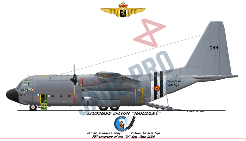 C-130H BAF
